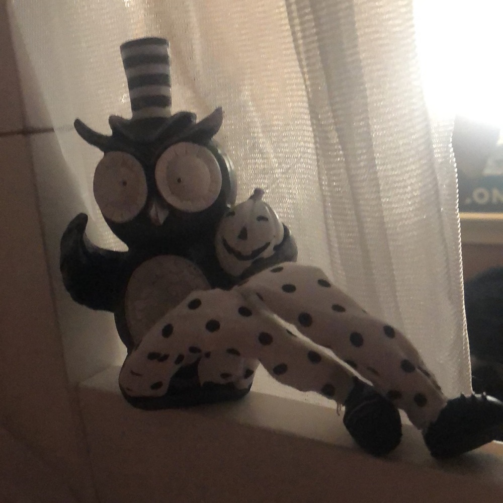 Cute little black and white Halloween owl